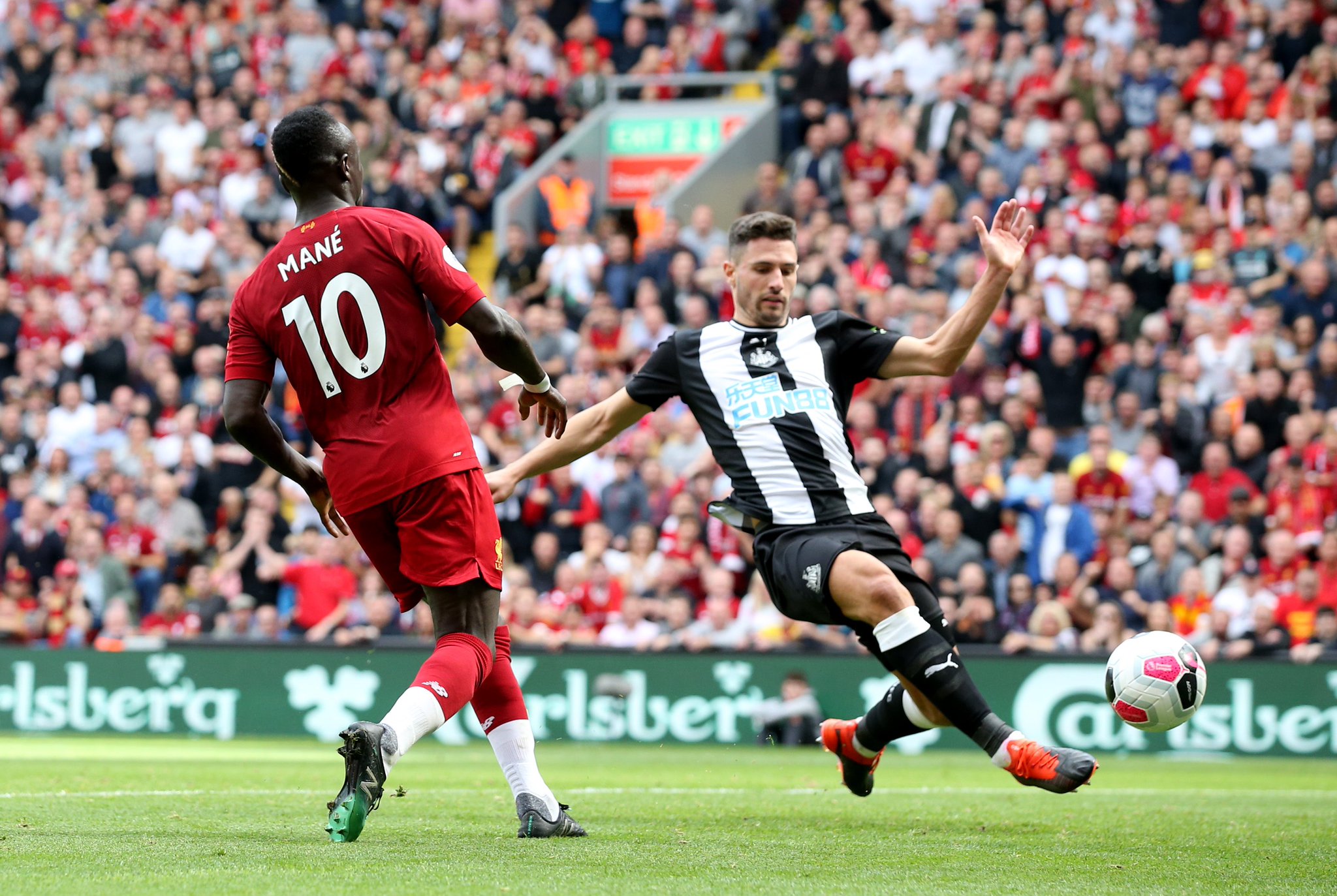 国演员的共 国演员的共